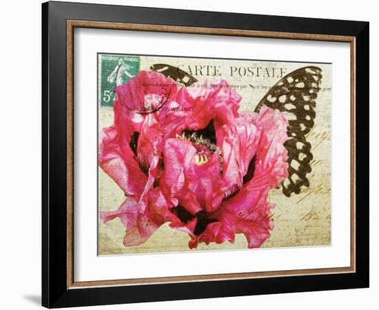 Carte Postale Poppy-Amy Melious-Framed Art Print