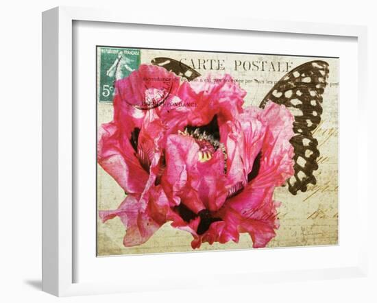 Carte Postale Poppy-Amy Melious-Framed Art Print