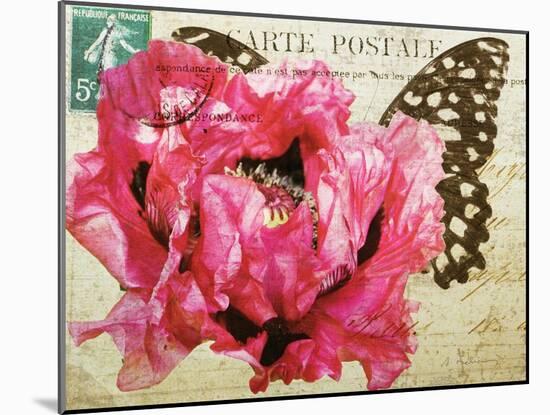 Carte Postale Poppy-Amy Melious-Mounted Art Print