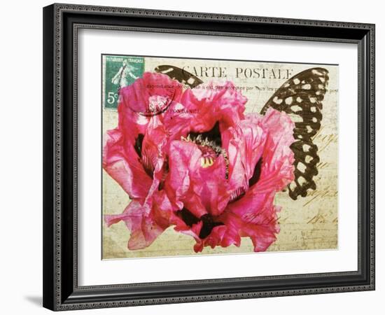 Carte Postale Poppy-Amy Melious-Framed Art Print