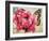 Carte Postale Poppy-Amy Melious-Framed Art Print