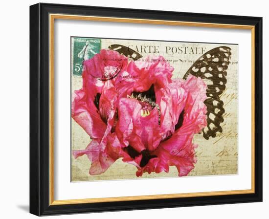 Carte Postale Poppy-Amy Melious-Framed Art Print