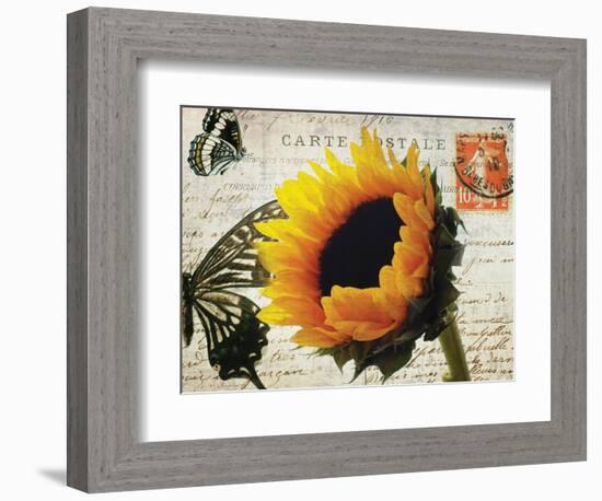 Carte Postale Sunflower-Amy Melious-Framed Art Print