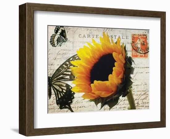 Carte Postale Sunflower-Amy Melious-Framed Art Print