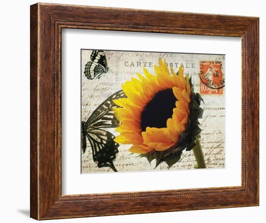 Carte Postale Sunflower-Amy Melious-Framed Art Print