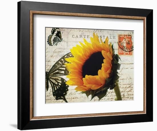 Carte Postale Sunflower-Amy Melious-Framed Art Print