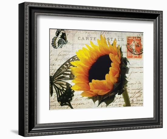 Carte Postale Sunflower-Amy Melious-Framed Art Print