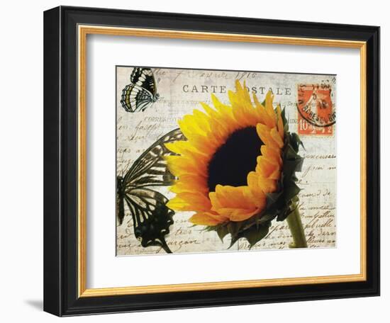 Carte Postale Sunflower-Amy Melious-Framed Art Print