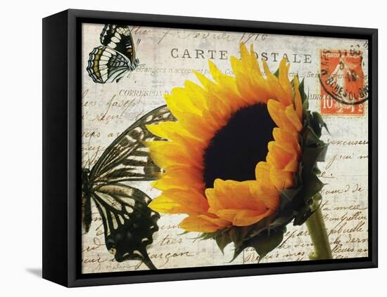 Carte Postale Sunflower-Amy Melious-Framed Stretched Canvas