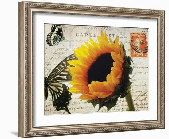 Carte Postale Sunflower-Amy Melious-Framed Art Print