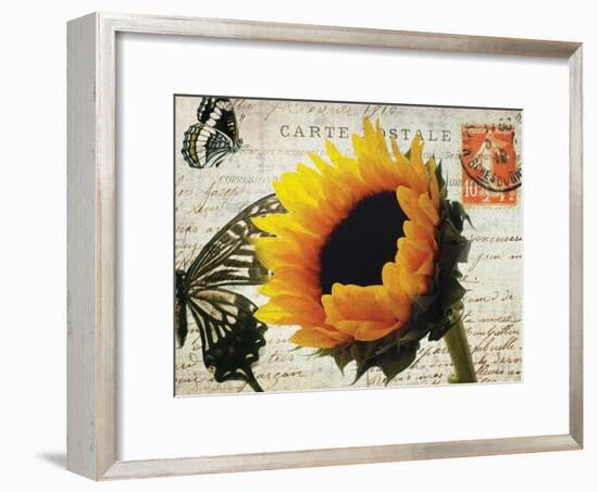 Carte Postale Sunflower-Amy Melious-Framed Art Print