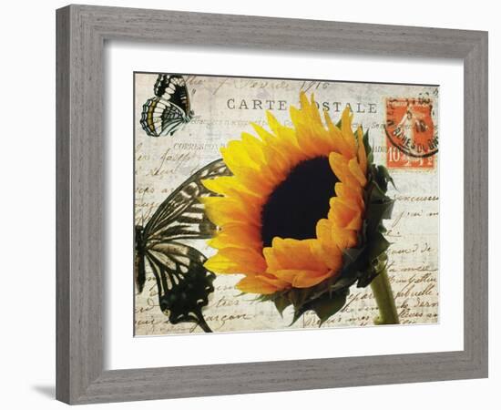 Carte Postale Sunflower-Amy Melious-Framed Art Print