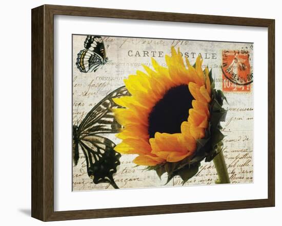 Carte Postale Sunflower-Amy Melious-Framed Art Print