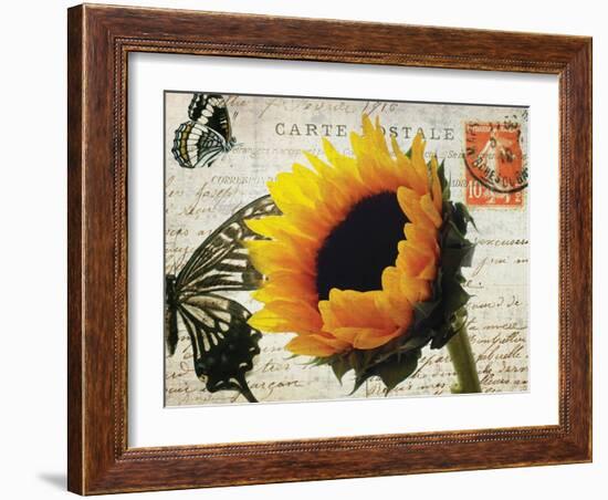 Carte Postale Sunflower-Amy Melious-Framed Art Print