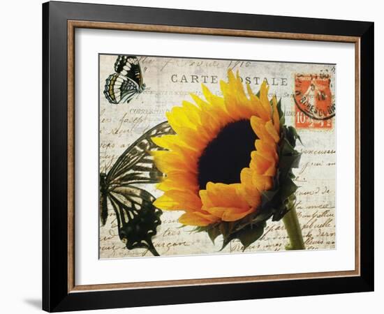 Carte Postale Sunflower-Amy Melious-Framed Art Print