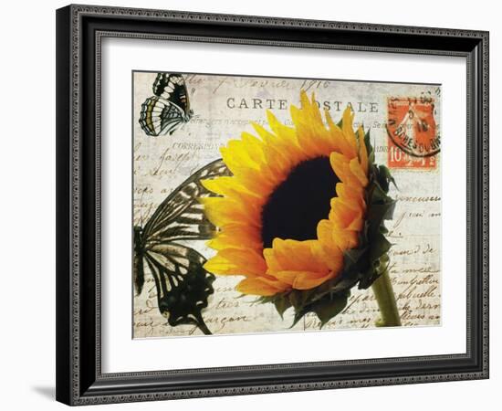 Carte Postale Sunflower-Amy Melious-Framed Art Print