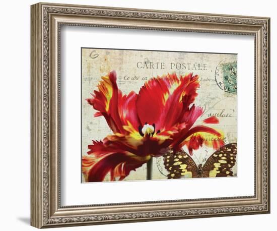 Carte Postale Tulip I-Amy Melious-Framed Art Print