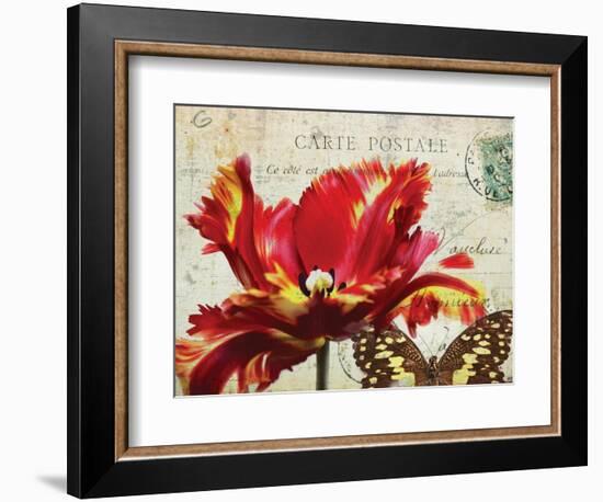 Carte Postale Tulip I-Amy Melious-Framed Premium Giclee Print