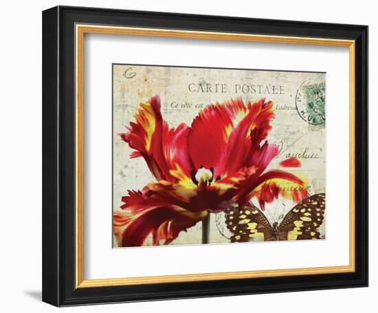 Carte Postale Tulip I-Amy Melious-Framed Premium Giclee Print