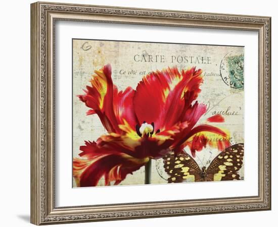 Carte Postale Tulip I-Amy Melious-Framed Art Print