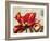 Carte Postale Tulip I-Amy Melious-Framed Art Print