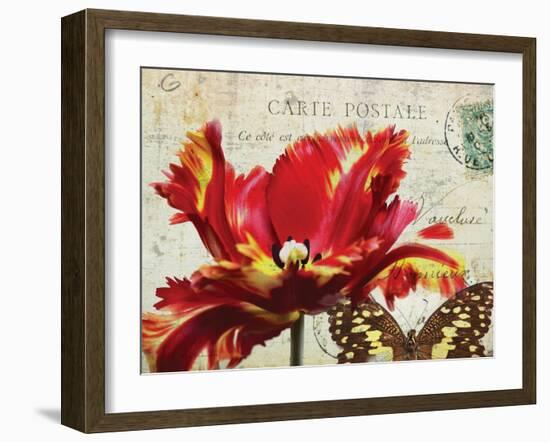 Carte Postale Tulip I-Amy Melious-Framed Art Print