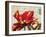 Carte Postale Tulip I-Amy Melious-Framed Art Print