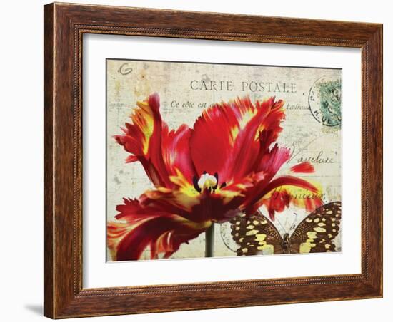 Carte Postale Tulip I-Amy Melious-Framed Art Print