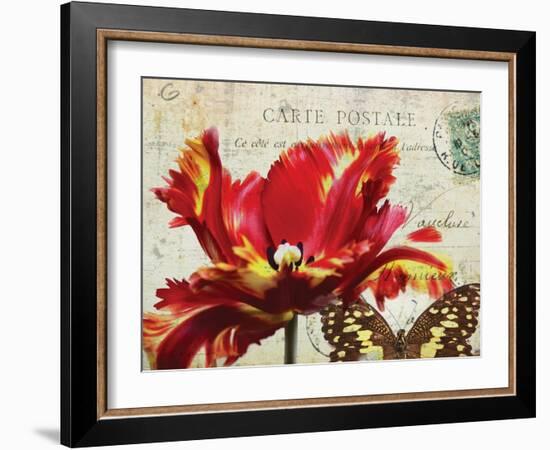 Carte Postale Tulip I-Amy Melious-Framed Art Print