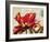 Carte Postale Tulip I-Amy Melious-Framed Art Print