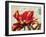 Carte Postale Tulip I-Amy Melious-Framed Art Print