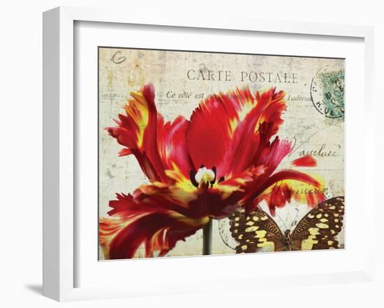 Carte Postale Tulip I-Amy Melious-Framed Art Print