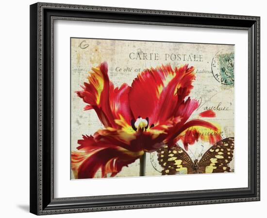 Carte Postale Tulip I-Amy Melious-Framed Art Print