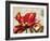 Carte Postale Tulip I-Amy Melious-Framed Art Print