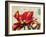 Carte Postale Tulip I-Amy Melious-Framed Art Print