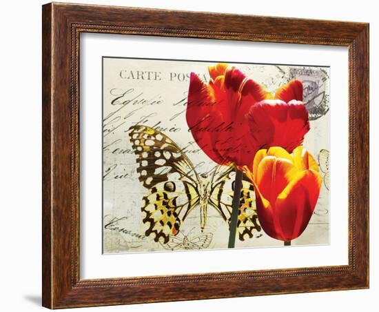 Carte Postale Tulip II-Amy Melious-Framed Art Print