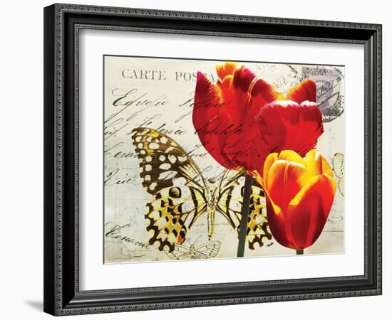 Carte Postale Tulip II-Amy Melious-Framed Art Print