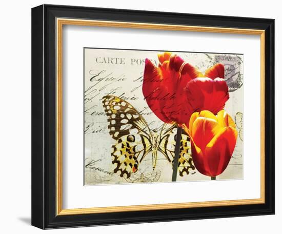Carte Postale Tulip II-Amy Melious-Framed Premium Giclee Print