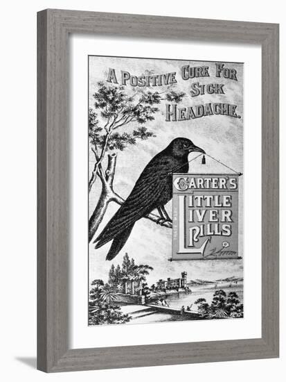 Carter's Little Liver Pills Advertisement Depicting a Crow-null-Framed Giclee Print