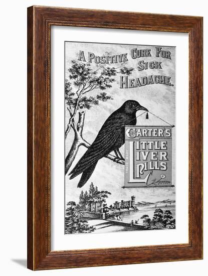 Carter's Little Liver Pills Advertisement Depicting a Crow-null-Framed Giclee Print