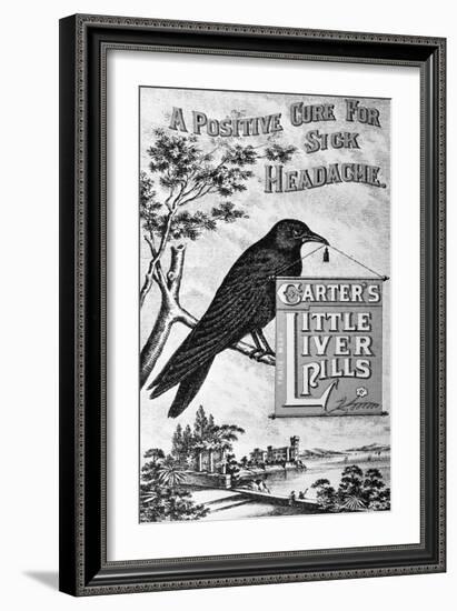 Carter's Little Liver Pills Advertisement Depicting a Crow-null-Framed Giclee Print