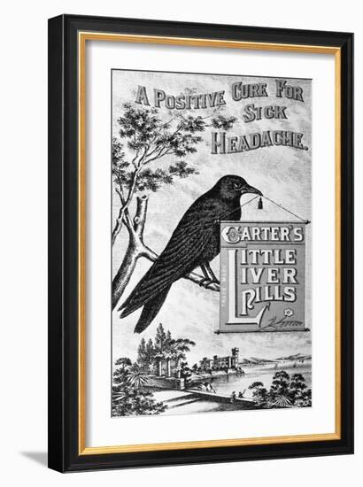 Carter's Little Liver Pills Advertisement Depicting a Crow-null-Framed Giclee Print