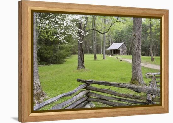 Carter Shields Cabin in Spring, Cades Cove Area, Great Smoky Mountains National Park, Tennessee-Richard and Susan Day-Framed Premier Image Canvas