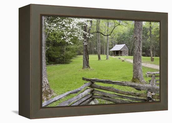 Carter Shields Cabin in Spring, Cades Cove Area, Great Smoky Mountains National Park, Tennessee-Richard and Susan Day-Framed Premier Image Canvas