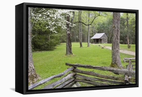 Carter Shields Cabin in Spring, Cades Cove Area, Great Smoky Mountains National Park, Tennessee-Richard and Susan Day-Framed Premier Image Canvas