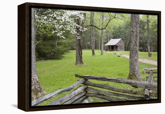 Carter Shields Cabin in Spring, Cades Cove Area, Great Smoky Mountains National Park, Tennessee-Richard and Susan Day-Framed Premier Image Canvas