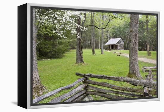 Carter Shields Cabin in Spring, Cades Cove Area, Great Smoky Mountains National Park, Tennessee-Richard and Susan Day-Framed Premier Image Canvas