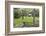 Carter Shields Cabin in Spring, Cades Cove Area, Great Smoky Mountains National Park, Tennessee-Richard and Susan Day-Framed Photographic Print