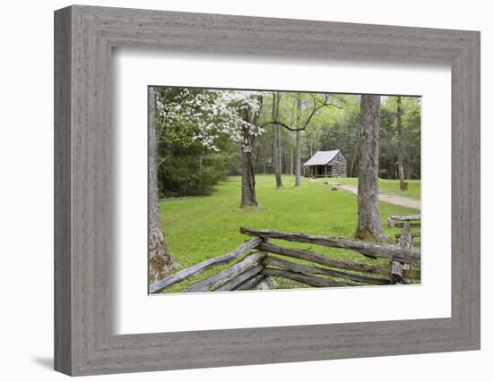 Carter Shields Cabin in Spring, Cades Cove Area, Great Smoky Mountains National Park, Tennessee-Richard and Susan Day-Framed Photographic Print