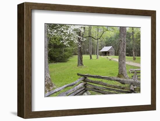 Carter Shields Cabin in Spring, Cades Cove Area, Great Smoky Mountains National Park, Tennessee-Richard and Susan Day-Framed Photographic Print